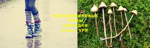 марки lsd Балахна
